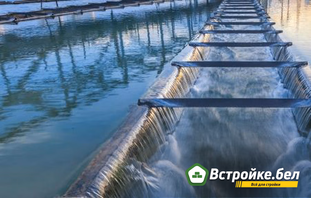 Water Market | Jacobs
